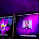 Image for article titled FaceTime For Mac Is Here and You Can Try It Today